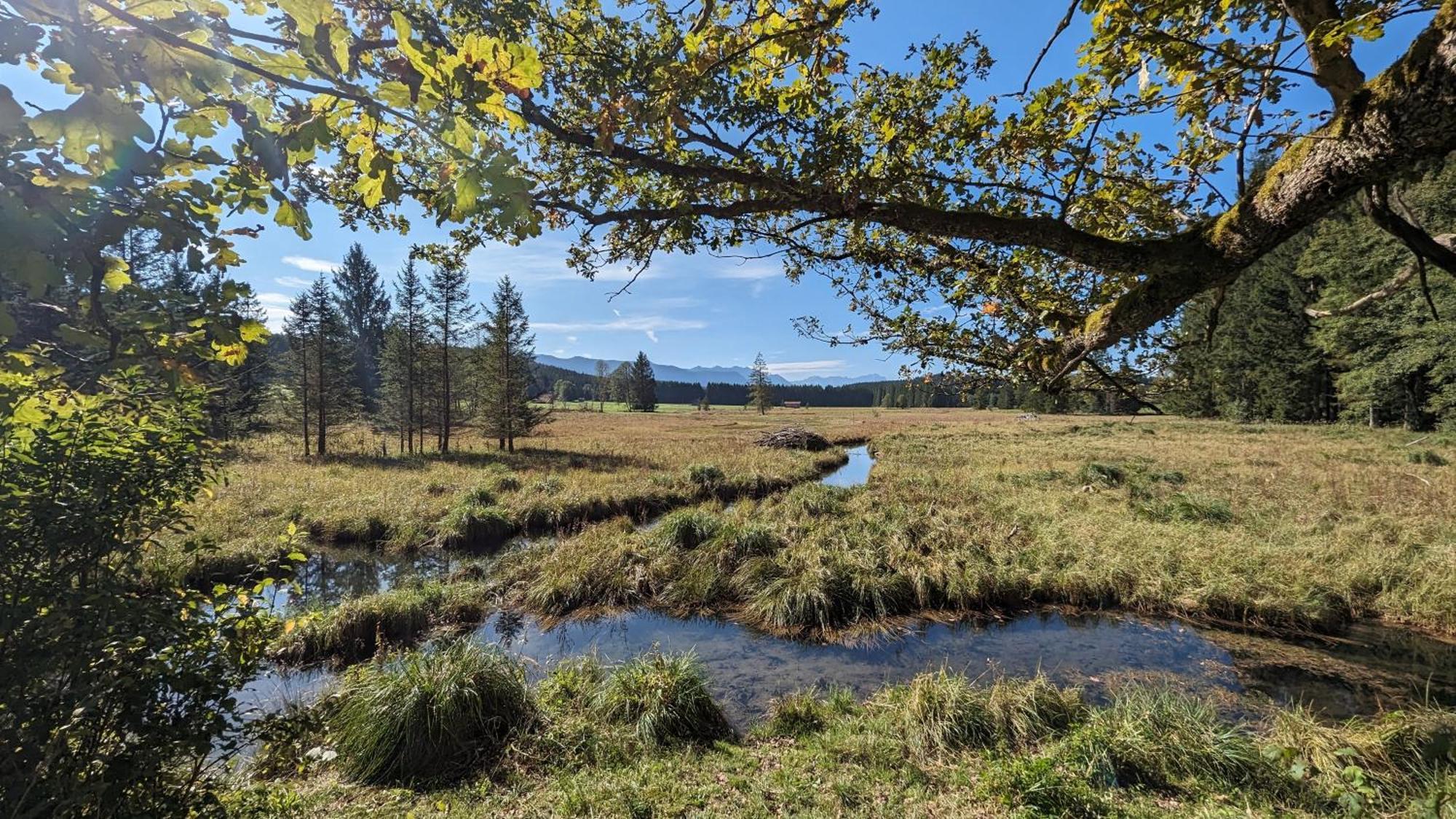 Liboria I Traumhafte Ferienwohnung In Aidling Am Riegsee Mit Atemberaubendem Panoramablick! Bagian luar foto
